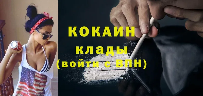 купить наркотики сайты  Киржач  Cocaine Fish Scale 