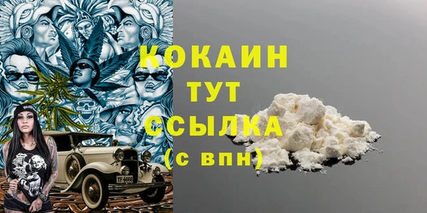 прущие грибы Нягань