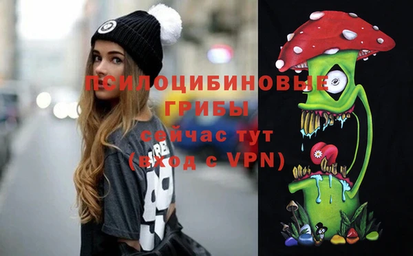 гашик Остров
