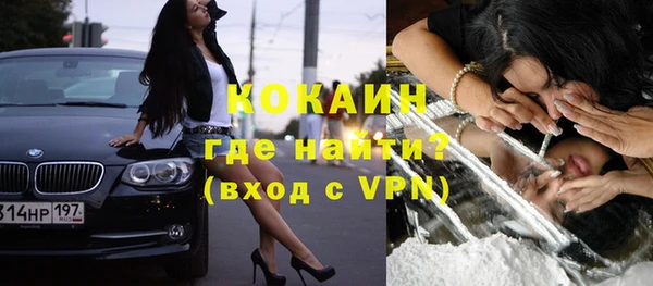 прущие грибы Нягань