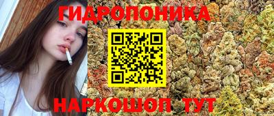 MDMA Краснознаменск