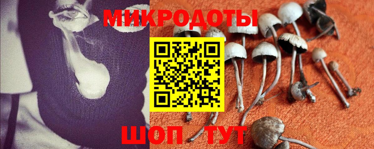 Галлюциногенные грибы Cubensis Киржач