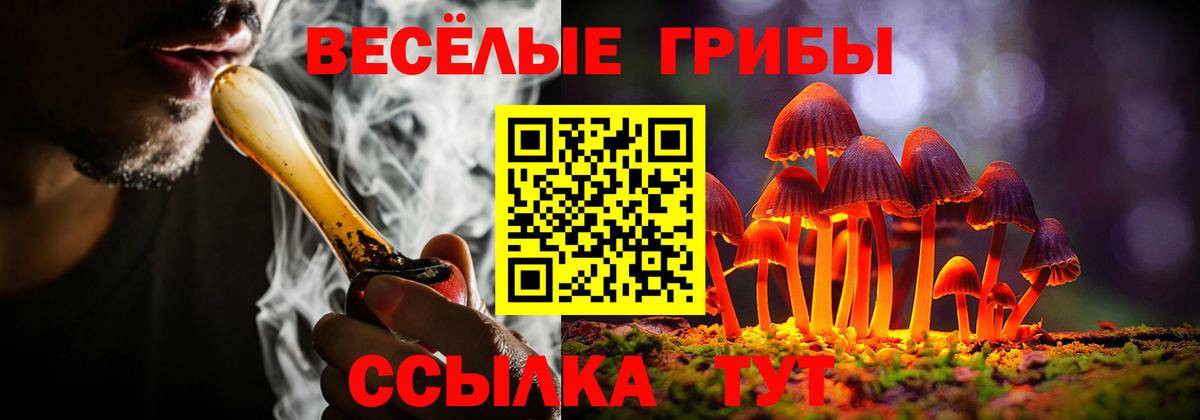 Галлюциногенные грибы Psilocybe  Галлюциногенные грибы Psilocybine cubensis  Киржач  Вход с VPN 
